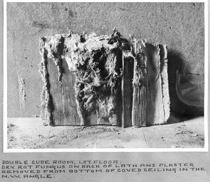 rot under lath and plaster coved ceiling